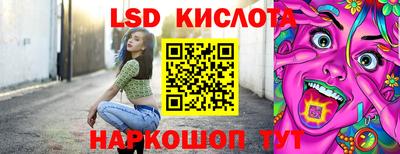 СК Кингисепп