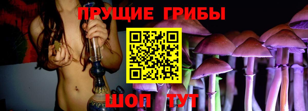 Псилоцибиновые грибы прущие грибы  Псилоцибиновые грибы MAGIC MUSHROOMS  Каспийск 